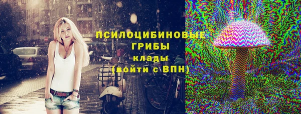ПСИЛОЦИБИНОВЫЕ ГРИБЫ Баксан