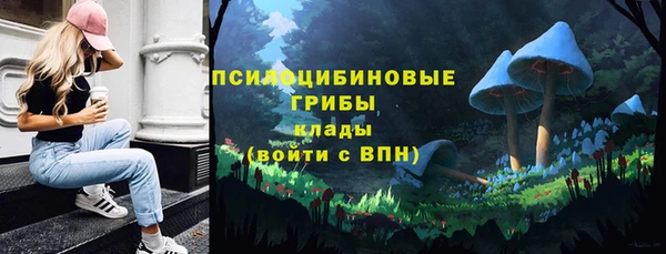 ПСИЛОЦИБИНОВЫЕ ГРИБЫ Баксан