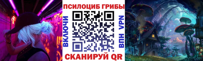 где найти наркотики  Верхнеуральск  Псилоцибиновые грибы GOLDEN TEACHER 